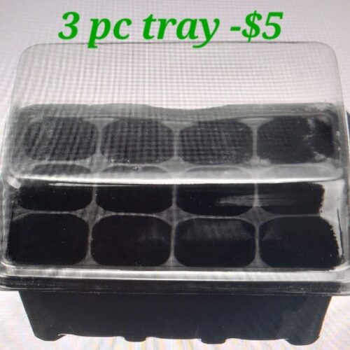 Product 4